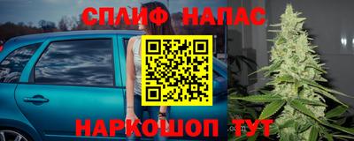 шишки Заводоуковск