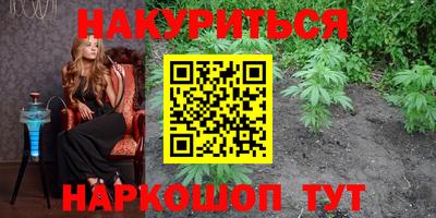шишки Заводоуковск