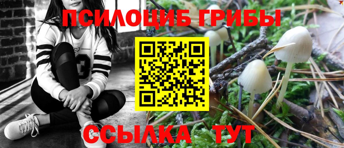Ивантеевка  Галлюциногенные грибы мухоморы  Вход с VPN 
